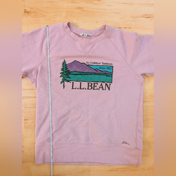 Medium L.L. Bean Vintage Pink Graphic Sweatshirt - Picture 11 of 12